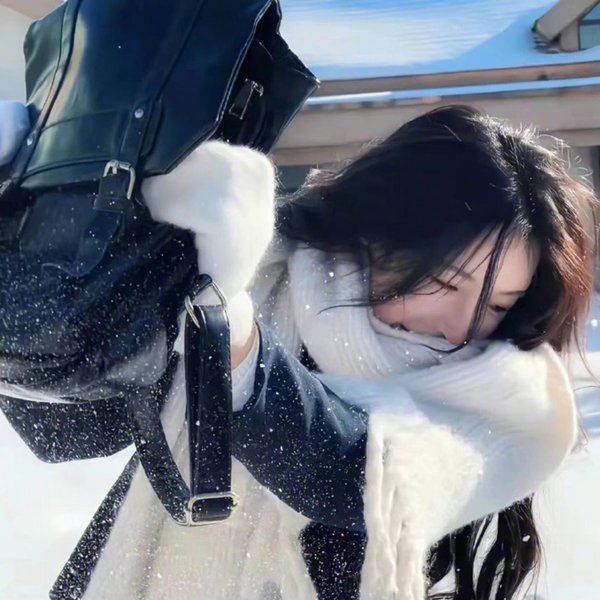 大案组